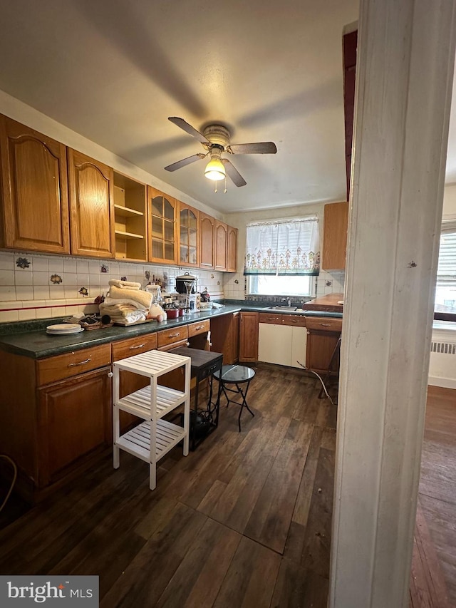 kitchen featuring tasteful backsplash, a healthy amount of sunlight, and dark hardwood / wood-style flooring