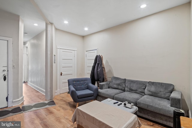 living room featuring light hardwood / wood-style flooring