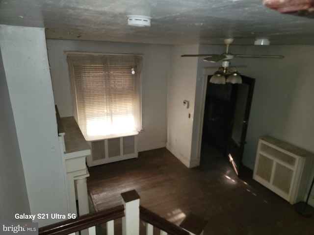 interior space featuring ceiling fan, dark hardwood / wood-style flooring, and radiator