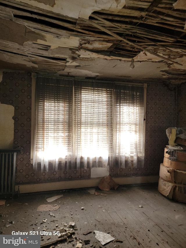 misc room with radiator and a wealth of natural light