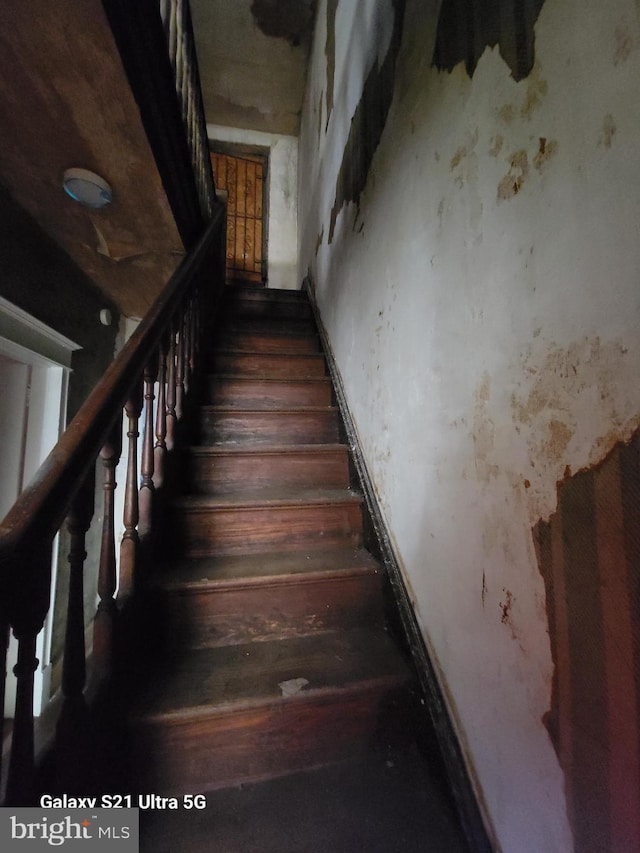 staircase featuring hardwood / wood-style floors