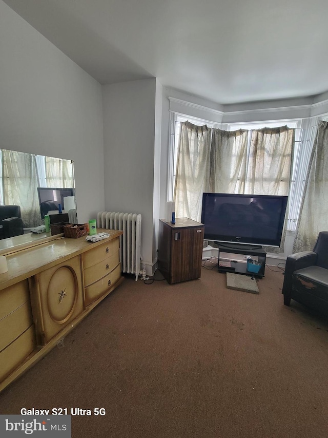 interior space featuring radiator heating unit and carpet