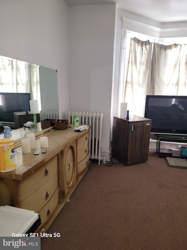 kitchen featuring radiator and dark carpet