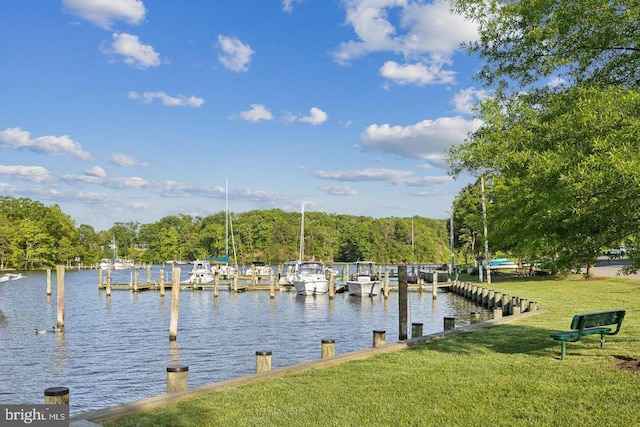 dock area with a water view and a yard