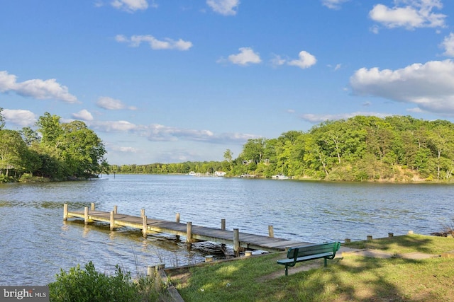 dock area with a water view