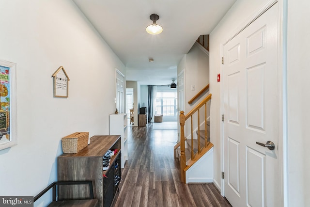 hallway with dark hardwood / wood-style flooring