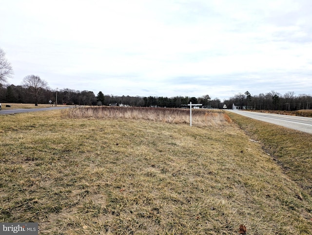 Neighbors Rd, Centreville MD, 21617 land for sale