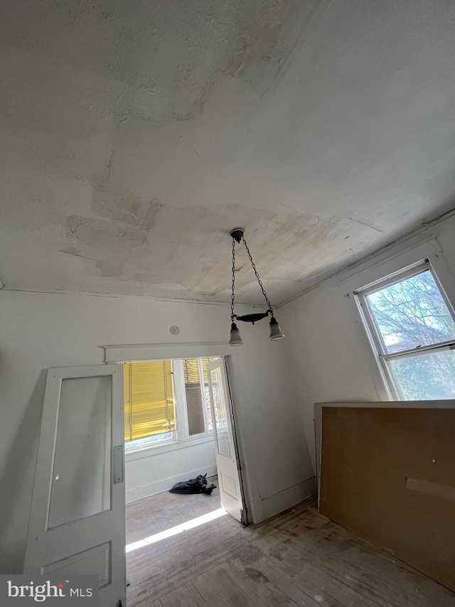 bonus room featuring hardwood / wood-style flooring and a healthy amount of sunlight