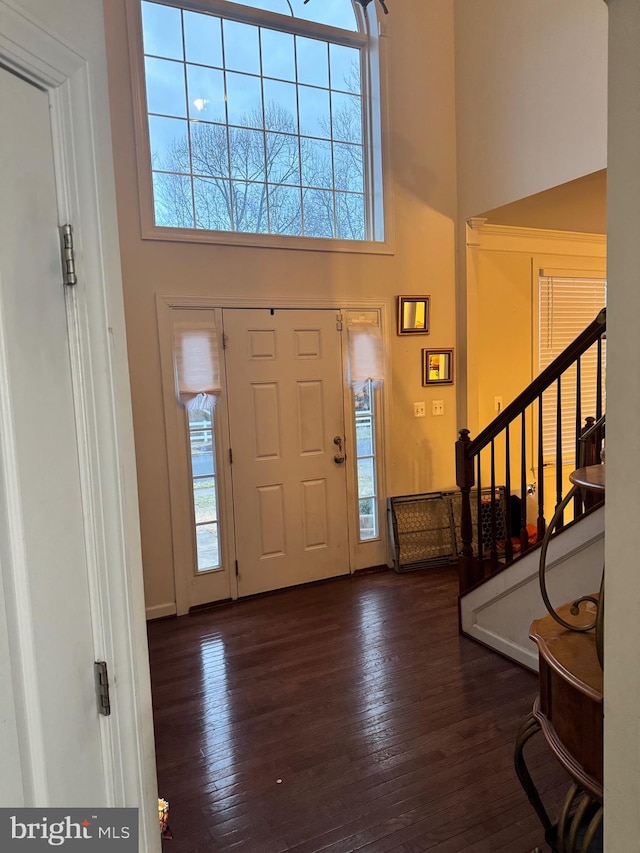 entryway featuring a towering ceiling and dark hardwood / wood-style flooring