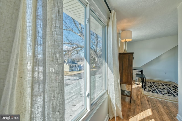 entryway with hardwood / wood-style floors, a textured ceiling, and a wealth of natural light