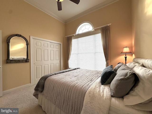 bedroom with crown molding, a closet, ceiling fan, and carpet flooring