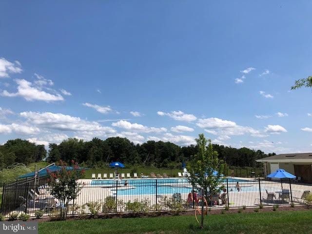 view of swimming pool with a patio