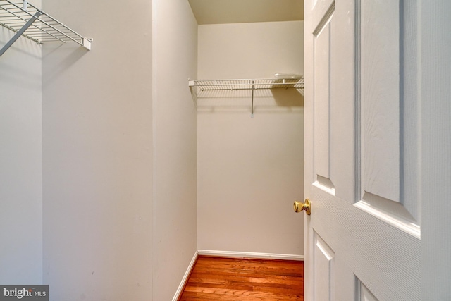 spacious closet with wood-type flooring