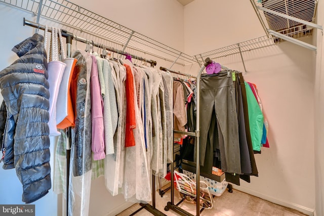 spacious closet featuring carpet floors