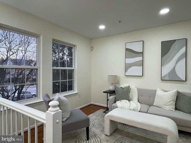 living room with wood-type flooring