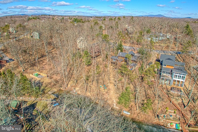 birds eye view of property with a mountain view