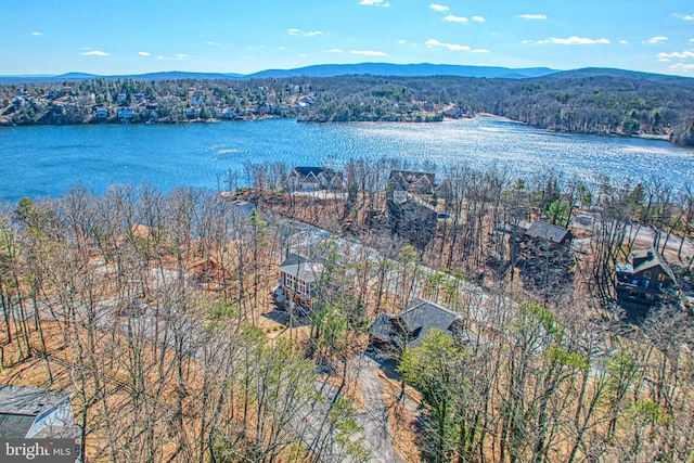 aerial view with a water and mountain view