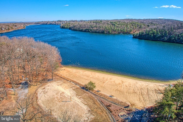 bird's eye view featuring a water view and a view of trees