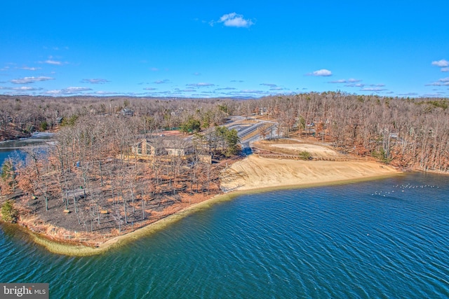 bird's eye view featuring a water view and a wooded view