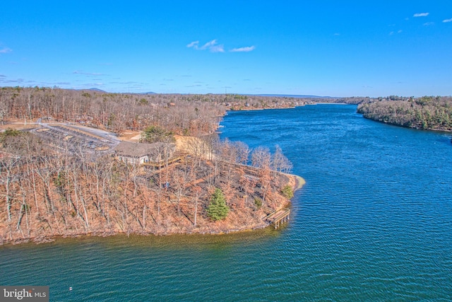 drone / aerial view with a water view and a wooded view