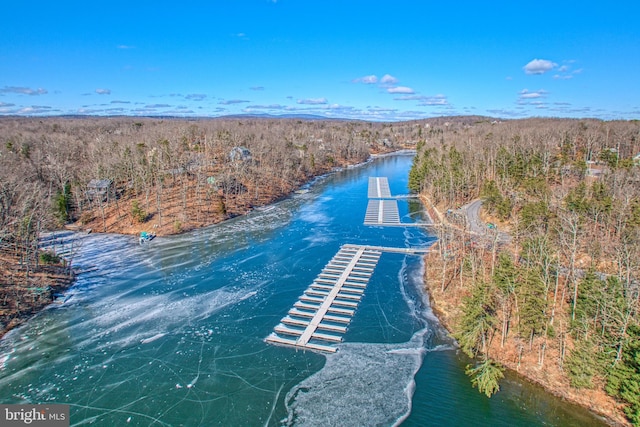 drone / aerial view with a water view and a forest view