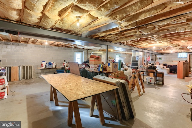 basement with plenty of natural light