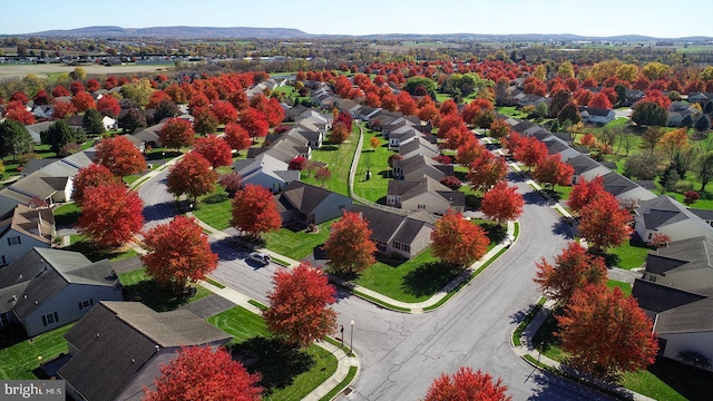 aerial view