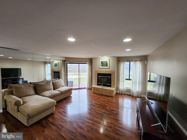 living room featuring dark wood-type flooring and a fireplace