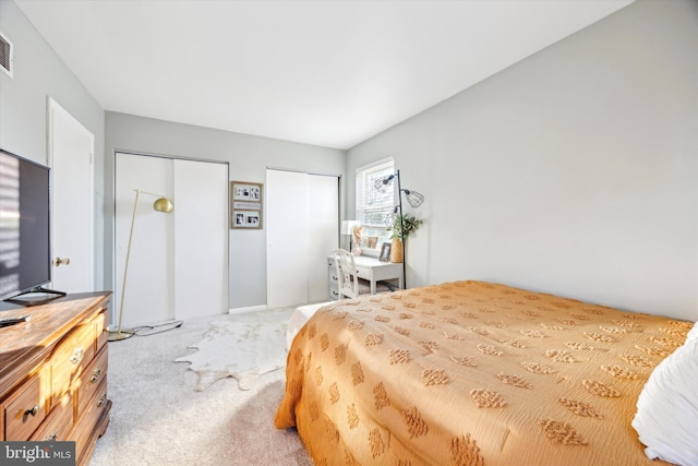 carpeted bedroom with two closets