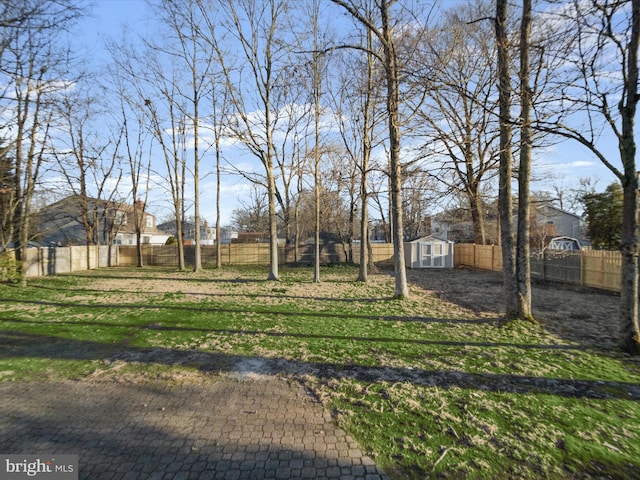 view of yard with a storage shed