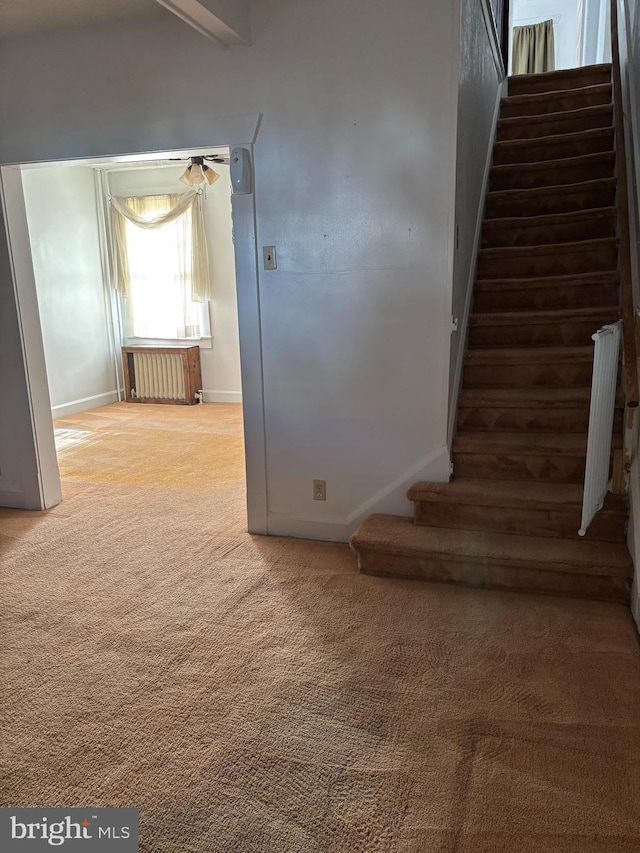 stairs featuring carpet and radiator heating unit