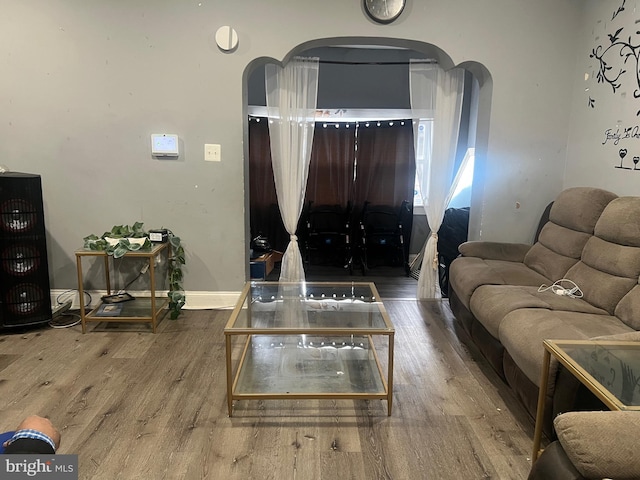 living room featuring hardwood / wood-style flooring