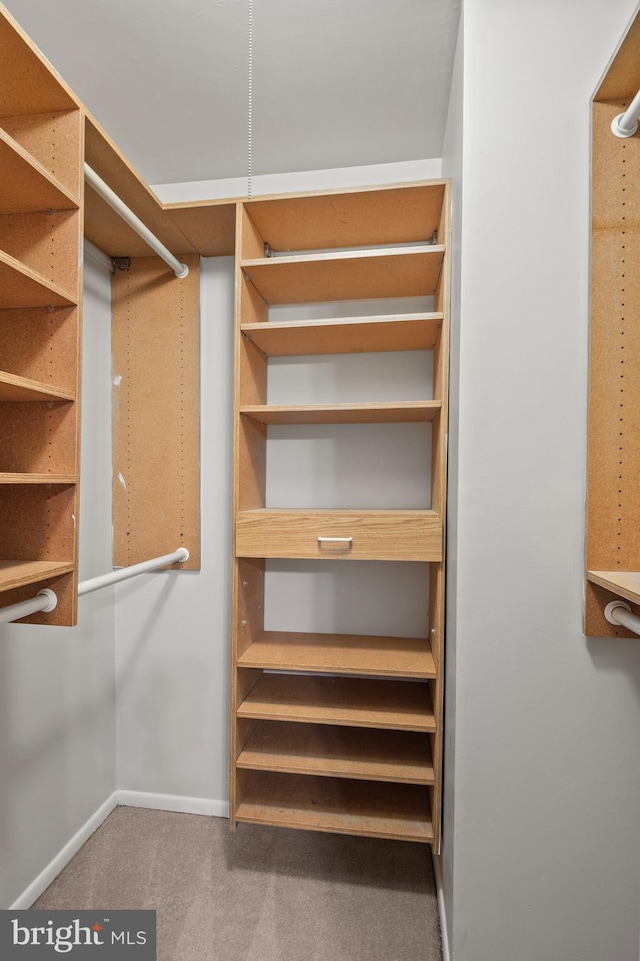 walk in closet with carpet floors