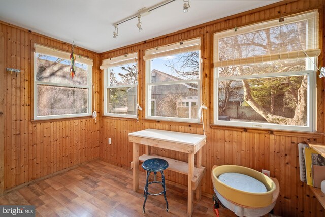 sunroom / solarium with a wealth of natural light and rail lighting