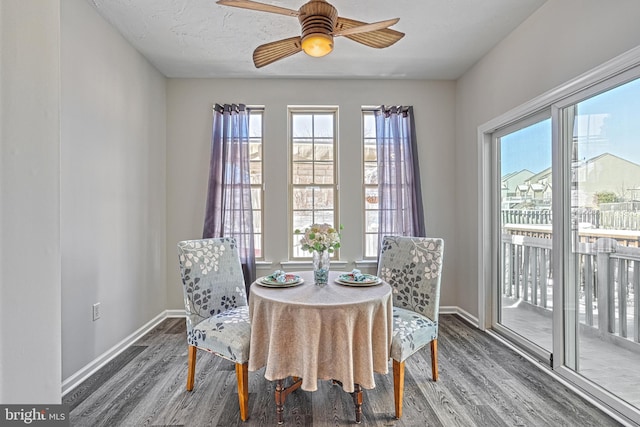 dining space featuring wood-type flooring and ceiling fan