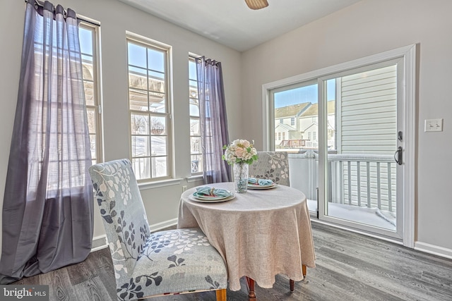 dining space with hardwood / wood-style flooring and ceiling fan