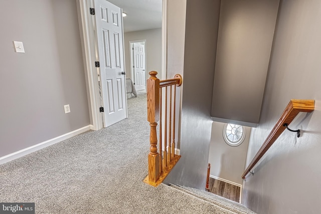 stairs featuring carpet