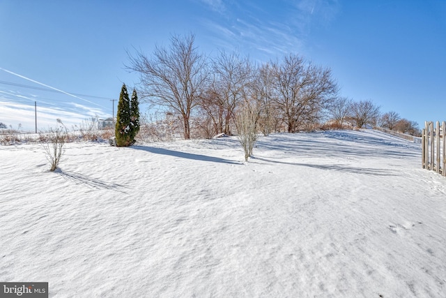 view of yard covered in snow