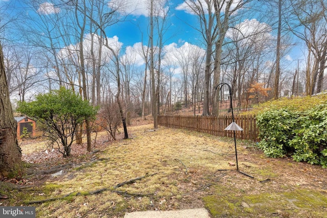 view of yard featuring a storage unit