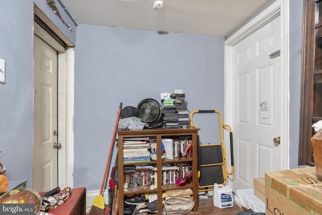 interior space with wood-type flooring