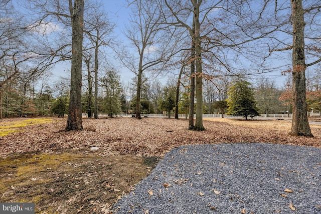 view of yard with a rural view