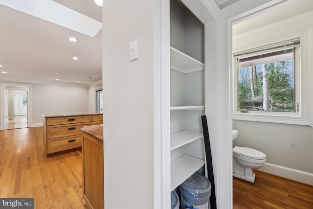 interior space featuring wood-type flooring and toilet