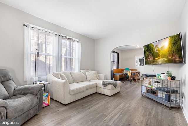 living room with wood-type flooring