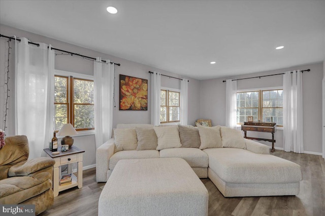 living room with hardwood / wood-style floors