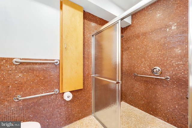 full bathroom featuring toilet and a shower stall