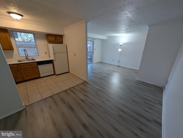 kitchen with light wood-style flooring, white appliances, a sink, open floor plan, and brown cabinetry