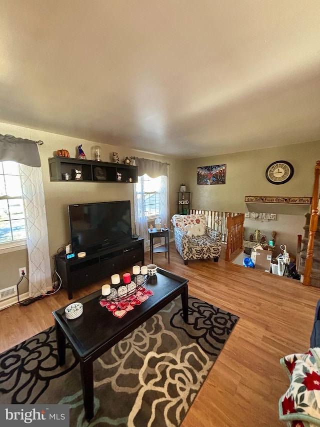 living room with wood-type flooring