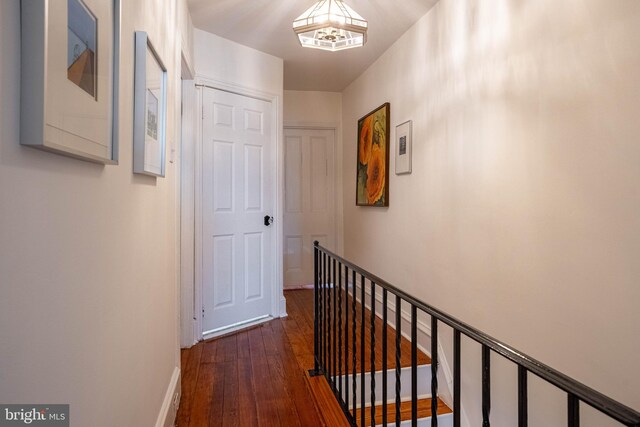 corridor with dark wood-type flooring