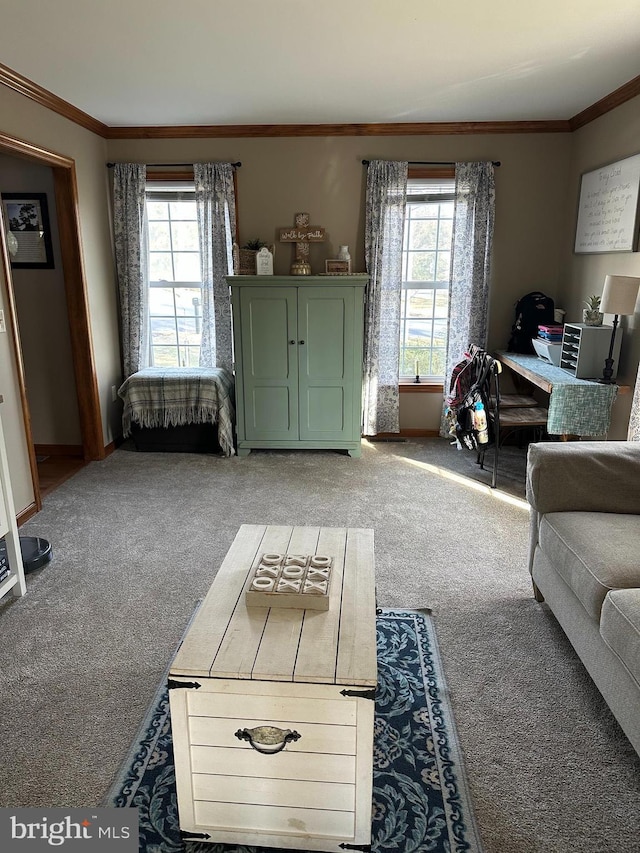 living room featuring ornamental molding and carpet floors