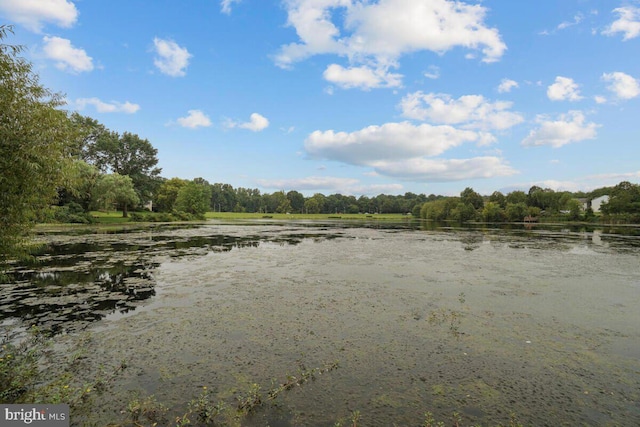 view of local wilderness with a water view